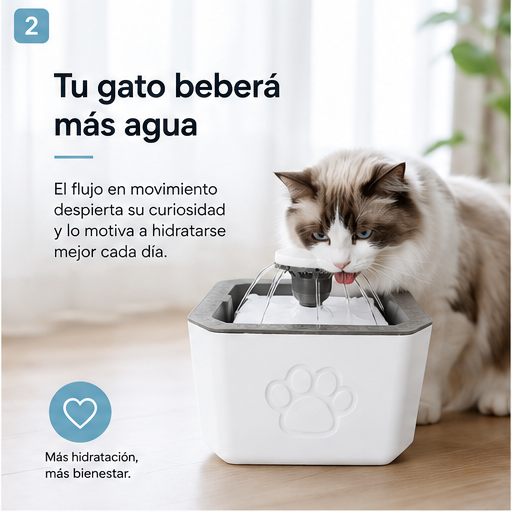 HydraPet - Tu mascota merece agua fresca y limpia en cada momento del día